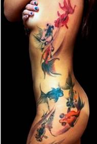 性感的女性腰部美麗看金魚紋身圖片