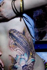 HD Chinese traditional squid waist tattoo picture