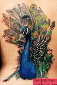 рисунок татуировки феникс сбоку