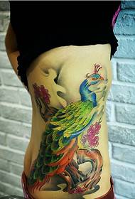 Moda menina lado cintura linda e bela foto de tatuagem de pavão