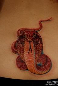 добре изглеждащ цветен модел на татуировка на кобра