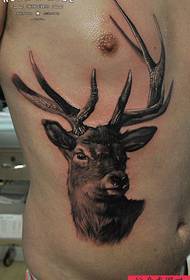 Uzorak tetovaže bočnog struka antilopa