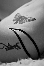 슈퍼 섹시한 여자 허리 신선한 동물 나비 문신 사진