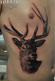 side waist antelope tattoo works picture