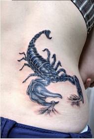 dziewczyna talia klasyczny dominujący skorpion obraz tatuaż obraz