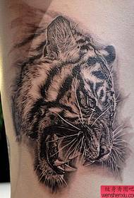 tattoo show Figure bar recommended a side waist black and white tiger tattoo works