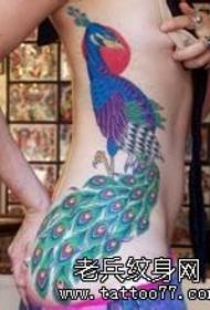 Women's waist color peacock tattoo works