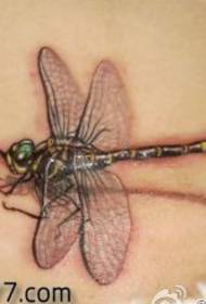 waist beautiful dragonflyTattoo pattern