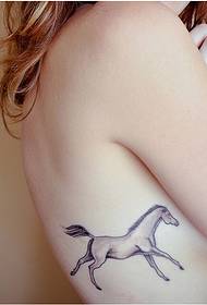 sexy beauty waist beautiful beautiful pony tattoo picture