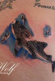 realistic style back colored tiger shark tattoo pattern
