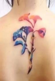 18 ženskih leđa na kralježnici prekrasan uzorak tetovaže