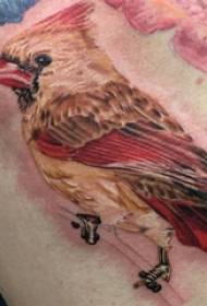 ptak tatuaż mężczyzna powrót ptak tatuaż obraz