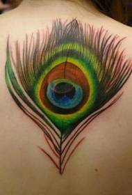 back beautiful Colorful peacock feather tattoo pattern