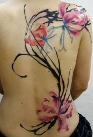 နောက်ဖက်ပုံစံအရောင်လှပသောပန်းပွင့် tattoo ပုံစံ