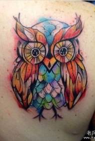 back European and American color splash owl tattoo patterns