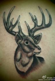 back European and American black gray elk tattoo pattern