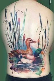 Realistinio stiliaus nugaros spalvos plaukimo laukinių ančių tatuiruotės modelis