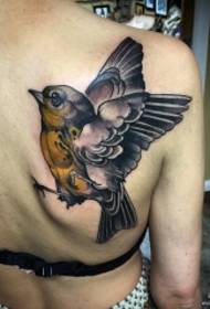 model de tatuaj păsări din spate