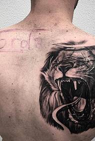 背部欧美写实狮子头像纹身图案
