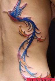 taille modèle de tatouage: taille couleur oiseau modèle de tatouage image de tatouage