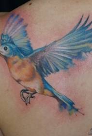 гръб цвят на училище птица татуировка модел