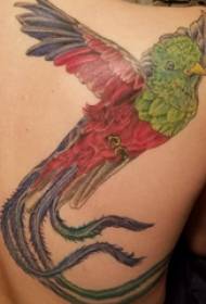 Tattoo Girl Bird bird back bird