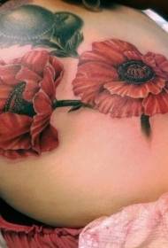 back beautiful realistic poppy flower tattoo pattern
