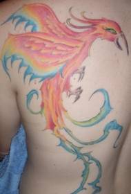 patrón de tatuaje de fénix atractivo de color de espalda