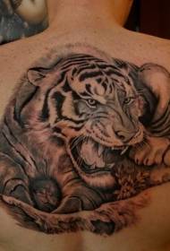 назад цврста шема на тетоважи на тигар