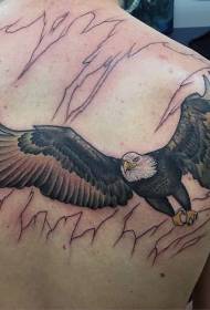 back realistic Color eagle tattoo pattern