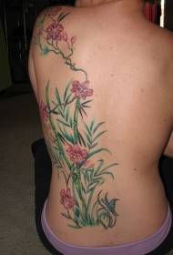 back growing orchid and bamboo tattoo pattern
