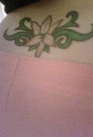 бели цвеќиња од половината и шема на тетоважи со зелен лист