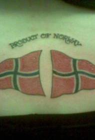 Norvēģijas karoga krāsas aizmugures tetovējums