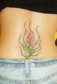 Efterkant Pink Lily Tattoo Patroon