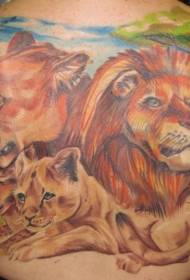 back color good-looking lion family tattoo pattern