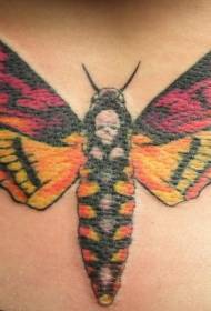 back colored moth tattoo pattern