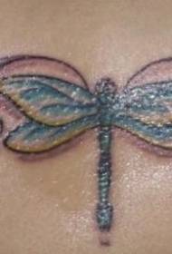 Backfly dragonfly ແລະ Vine Tattoo Pattern