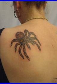 girl back big spider color tattoo pattern
