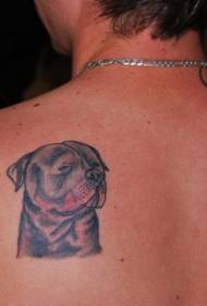 rov qab me ntsis ntxim nyiam Rottweiler tattoo qauv