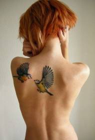 girl's back realistic color hummingbird tattoo pattern