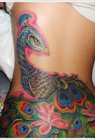 back cute peacock flower color tattoo pattern