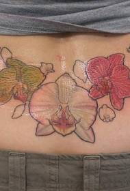 waist different color orchid tattoo pattern