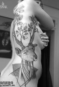 patrón de tatuaxe de ciervo traseiro