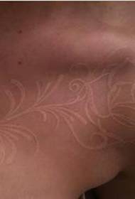 Galamb vér tetoválás: Gyönyörű galamb vér tetoválás hátulján és a vállán