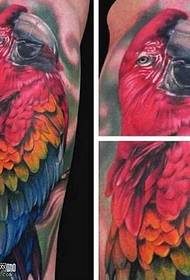 Back Red Parrot Tattoo Pattern