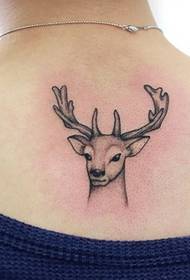 beautiful fashion deer tattoo