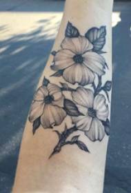 Arm tattoofotografia dievča čierny kvet tetovanie obrázok na rameno