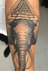 Arm tattoo material, male arm, triangle and elephant tattoo picture