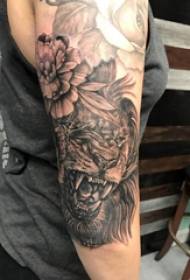 Tang lion tattoo male student arm lion tattoo padrão