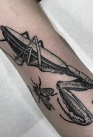 螳螂ແຂນລວດລາຍຮູບແບບເດັກຊາຍໃສ່ສີ ດຳ picture ຮູບ tattoo